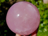 Polished Pair Star Rose Quartz Sphere x 2 Madagascar