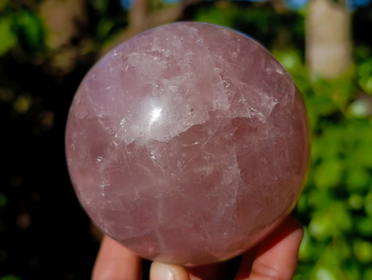 Polished Pair Star Rose Quartz Sphere x 2 Madagascar - Toprock Gemstones and Minerals 