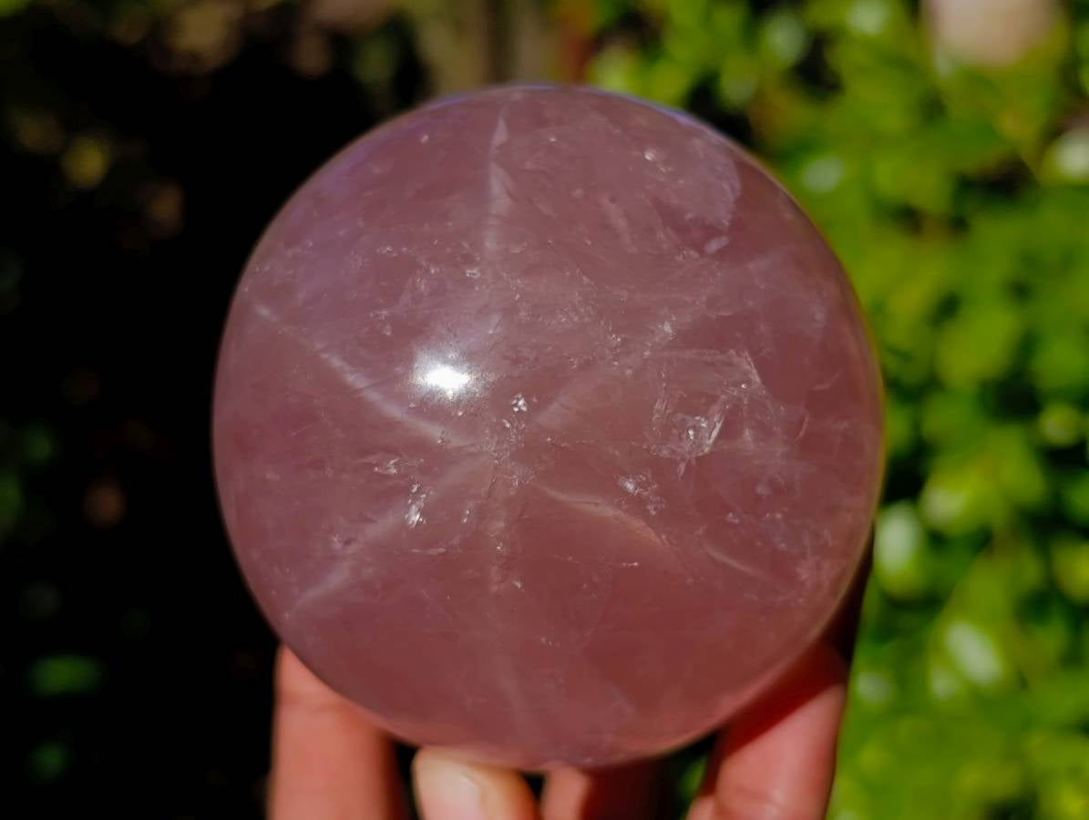 Polished Pair Star Rose Quartz Sphere x 2 Madagascar - Toprock Gemstones and Minerals 