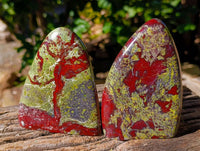 Polished Bastite Dragons Blood Standing Free Forms x 2 From Tshipise, South Africa