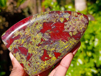 Polished Bastite Dragons Blood Standing Free Forms x 2 From Tshipise, South Africa