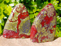 Polished Bastite Dragons Blood Standing Free Forms x 2 From Tshipise, South Africa