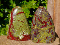 Polished Bastite Dragons Blood Standing Free Forms x 2 From Tshipise, South Africa