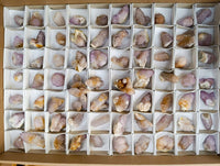 Natural Amethyst Spirit Quartz Crystals x 70 From Boekenhouthoek, South Africa