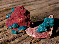 Natural Dioptase on Dolomite Matrix Specimens x 21 From Likasi, Congo