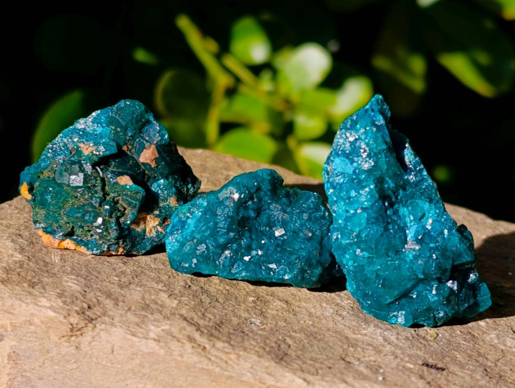 Natural Dioptase on Dolomite Matrix Specimens x 21 From Likasi, Congo - Toprock Gemstones and Minerals 