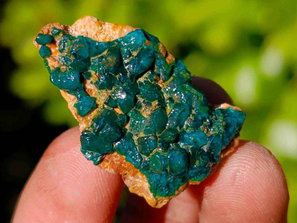 Natural Dioptase on Dolomite Matrix Specimens x 21 From Likasi, Congo - Toprock Gemstones and Minerals 