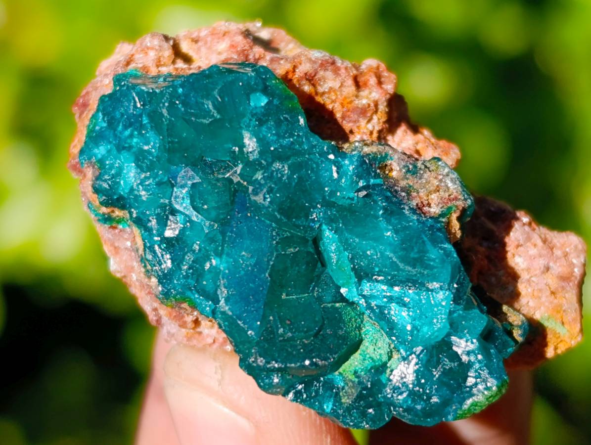 Natural Dioptase on Dolomite Matrix Specimens x 21 From Likasi, Congo - Toprock Gemstones and Minerals 