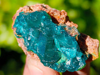 Natural Dioptase on Dolomite Matrix Specimens x 21 From Likasi, Congo