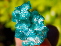 Natural Dioptase on Dolomite Matrix Specimens x 21 From Likasi, Congo