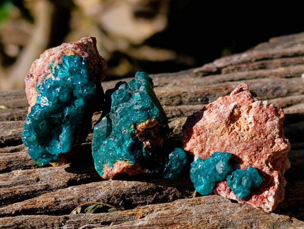 Natural Dioptase on Dolomite Matrix Specimens x 21 From Likasi, Congo - Toprock Gemstones and Minerals 