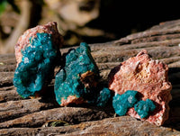 Natural Dioptase on Dolomite Matrix Specimens x 21 From Likasi, Congo