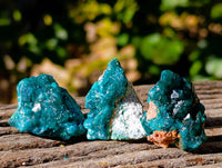 Natural Dioptase on Dolomite Matrix Specimens x 20 From Likasi, Congo