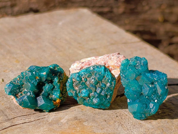Natural Dioptase on Dolomite Matrix Specimens x 20 From Likasi, Congo