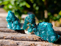 Natural Dioptase on Dolomite Matrix Specimens x 20 From Likasi, Congo