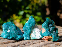 Natural Dioptase on Dolomite Matrix Specimens x 20 From Likasi, Congo