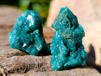 Natural Dioptase on Dolomite Matrix Specimens x 20 From Likasi, Congo