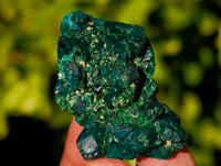 Natural Dioptase on Dolomite Matrix Specimens x 20 From Likasi, Congo