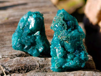 Natural Dioptase on Dolomite Matrix Specimens x 20 From Likasi, Congo