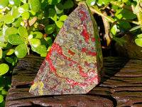 Natural Bastite Dragon Bloodstone Points x 2 From South Africa
