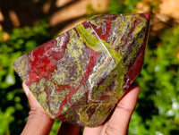 Natural Bastite Dragon Bloodstone Points x 2 From South Africa