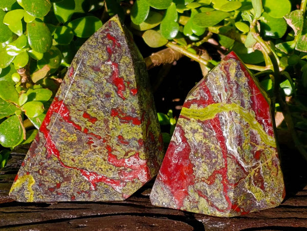 Natural Bastite Dragon Bloodstone Points x 2 From South Africa