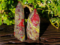 Natural Bastite Dragon Bloodstone Points x 2 From South Africa