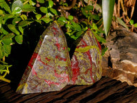 Natural Bastite Dragon Bloodstone Points x 2 From South Africa
