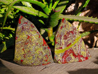 Natural Bastite Dragon Bloodstone Points x 2 From South Africa