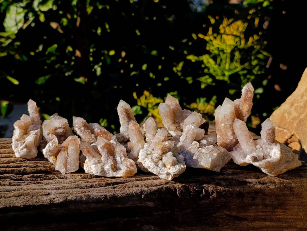Natural Limonite Coated Fairy Spirit Quartz Clusters x 12 From South Africa - Toprock Gemstones and Minerals 