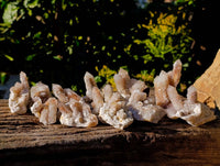 Natural Limonite Coated Fairy Spirit Quartz Clusters x 12 From South Africa