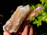 Natural Limonite Coated Fairy Spirit Quartz Clusters x 12 From South Africa