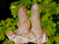 Natural Limonite Coated Fairy Spirit Quartz Clusters x 12 From South Africa