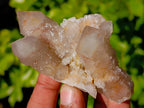 Natural Limonite Coated Fairy Spirit Quartz Clusters x 12 From South Africa - Toprock Gemstones and Minerals 