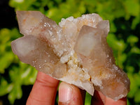 Natural Limonite Coated Fairy Spirit Quartz Clusters x 12 From South Africa