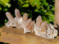 Natural Limonite Coated Fairy Spirit Quartz Clusters x 12 From South Africa