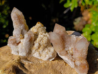 Natural Limonite Coated Fairy Spirit Quartz Clusters x 12 From South Africa
