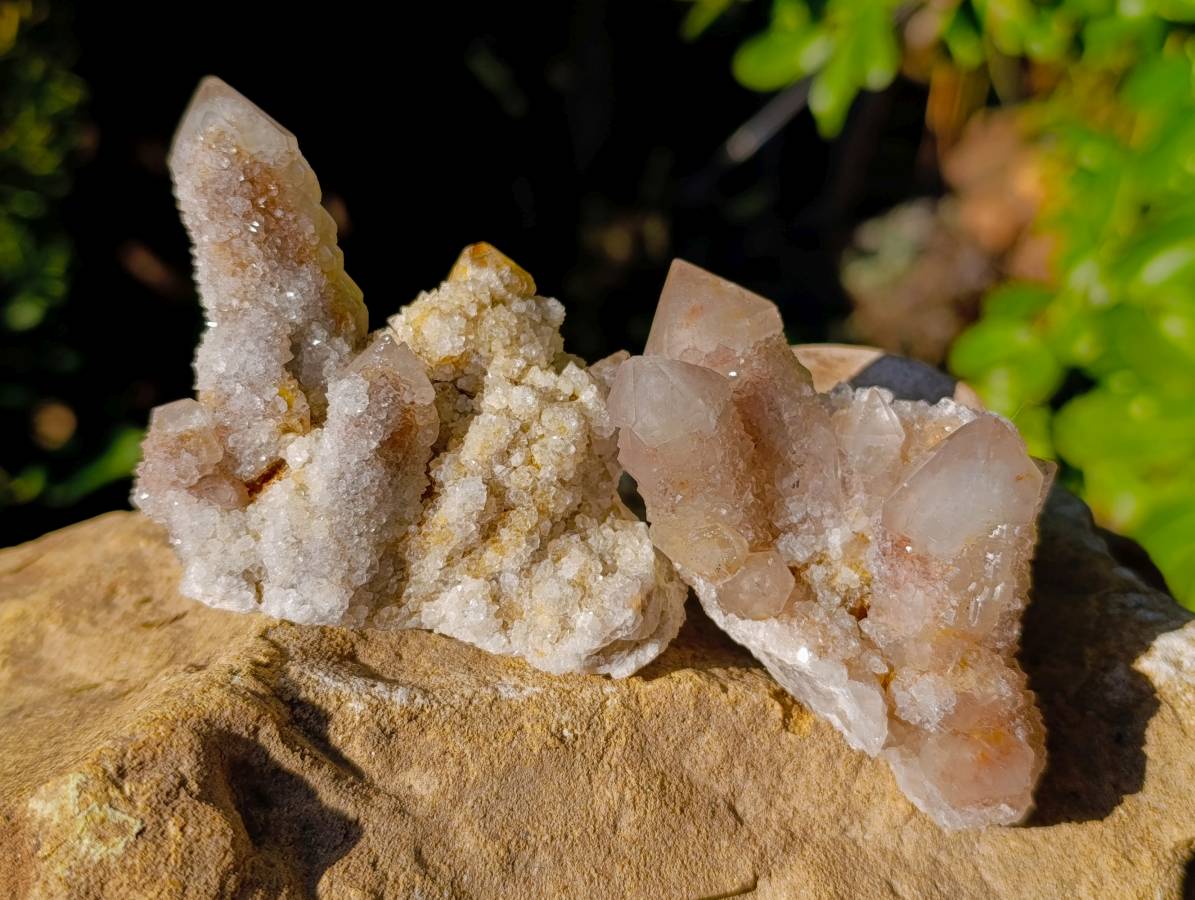 Natural Limonite Coated Fairy Spirit Quartz Clusters x 12 From South Africa - Toprock Gemstones and Minerals 