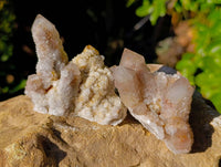 Natural Limonite Coated Fairy Spirit Quartz Clusters x 12 From South Africa
