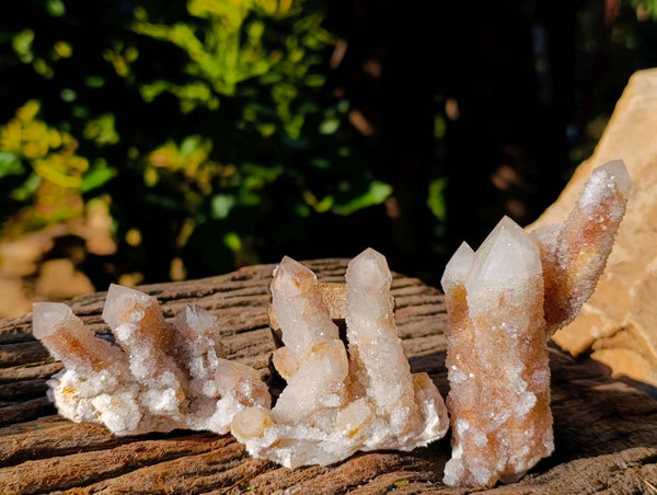 Natural Limonite Coated Fairy Spirit Quartz Clusters x 12 From South Africa