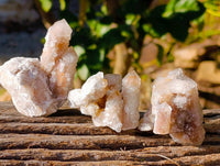 Natural Limonite Coated Fairy Spirit Quartz Clusters x 12 From South Africa