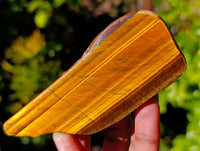 Polished On One Side Tiger's Eye x 12 From Prieska, South Africa