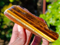 Polished On One Side Tiger's Eye x 12 From Prieska, South Africa