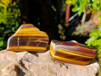 Polished On One Side Tiger's Eye x 12 From Prieska, South Africa