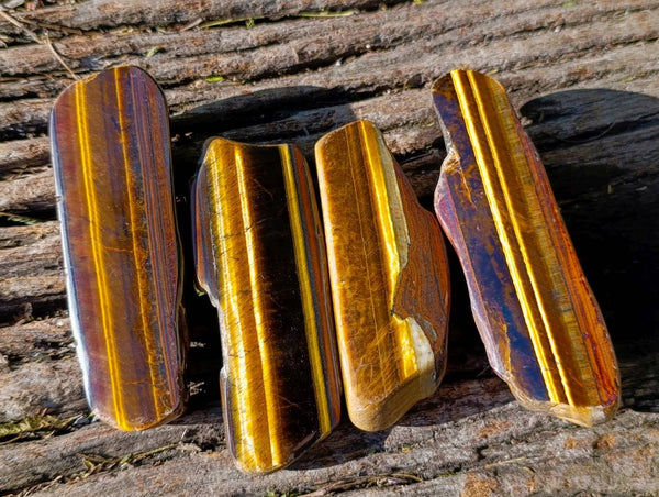 Polished On One Side Tiger's Eye x 12 From Prieska, South Africa