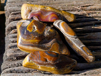 Polished On One Side Tiger's Eye x 12 From Prieska, South Africa