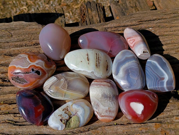 Polished Red Sashe River Agate Free Forms x 12 From Zimbabwe