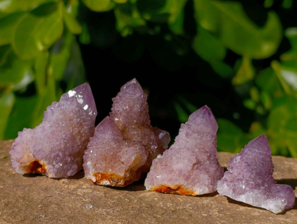 Natural Amethyst Spirit Quartz Clusters x 21 From South Africa