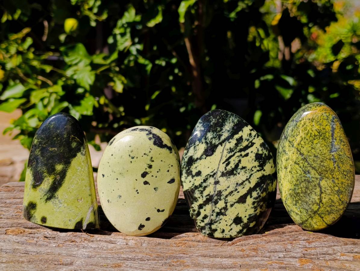 Polished Leopard Stone Standing Free Forms x 4 From Zimbabwe - Toprock Gemstones and Minerals 