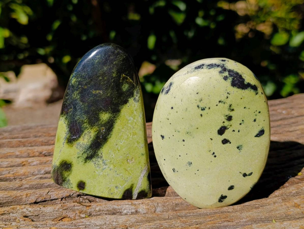 Polished Leopard Stone Standing Free Forms x 4 From Zimbabwe - Toprock Gemstones and Minerals 